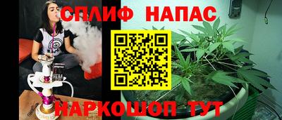 гашик Кимры