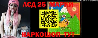 гашик Кимры