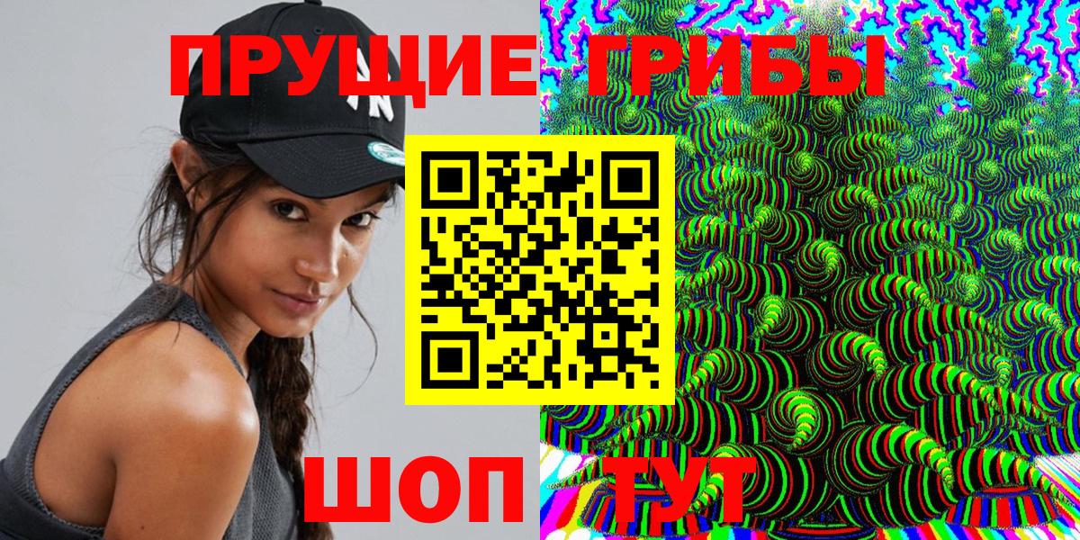 Галлюциногенные грибы GOLDEN TEACHER Балтийск
