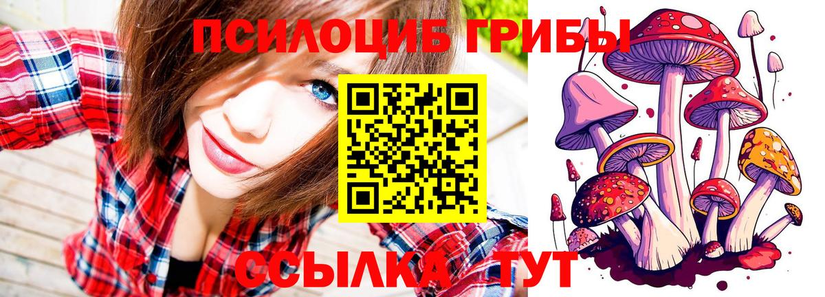 Балтийск  Галлюциногенные грибы Cubensis  Вход с VPN 