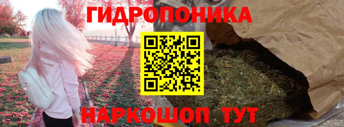 МАРИХУАНА индика Балтийск